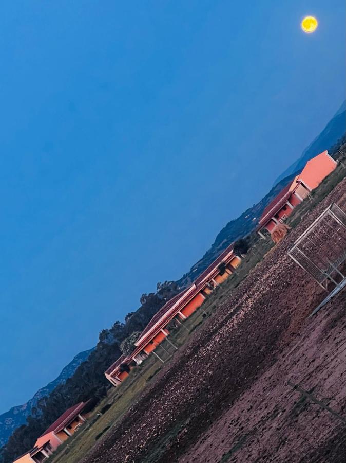Tenute Venafiorita Loiri Porto San Paolo Kültér fotó